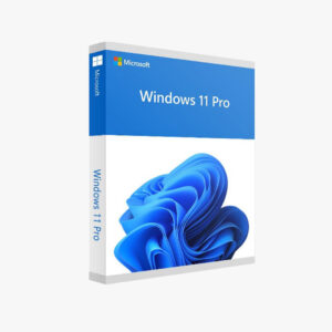 windows 11 instalacion